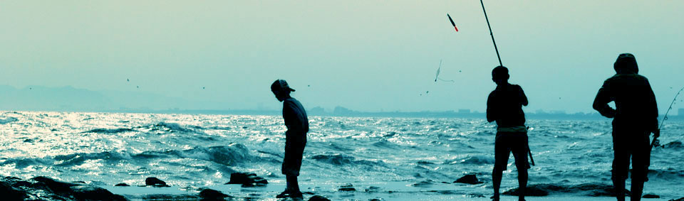 チヌ釣り・メバル釣り・キス釣り・五目釣り ◆ 海釣り（波止釣り）を始めよう！